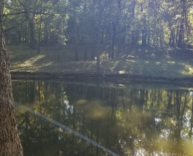 Tipton County Museum Bird Festival (Covington)