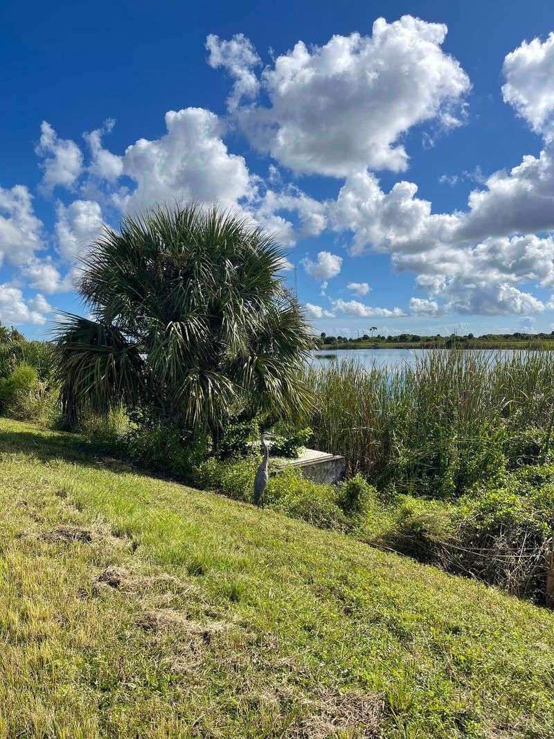 Ritch Grissom Memorial Wetlands (Viera Wetlands)