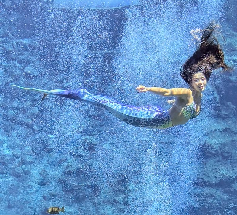 Weeki Wachee Springs Mermaid Show (Spring Hill)