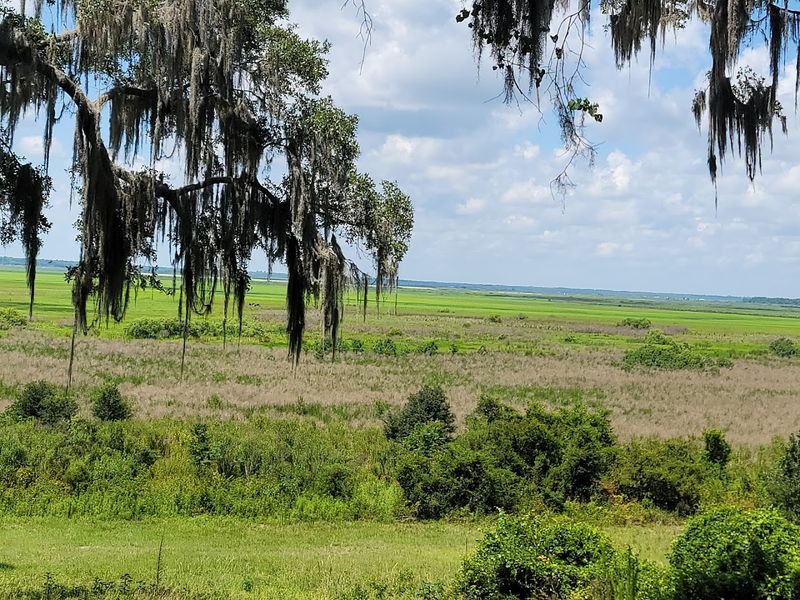 Hawthorne End: Food, Water, And Vibes