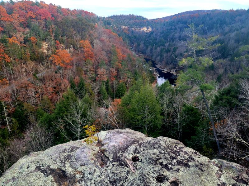 Point Trail at Lilly Bluff (Obed Wild & Scenic River, Wartburg)