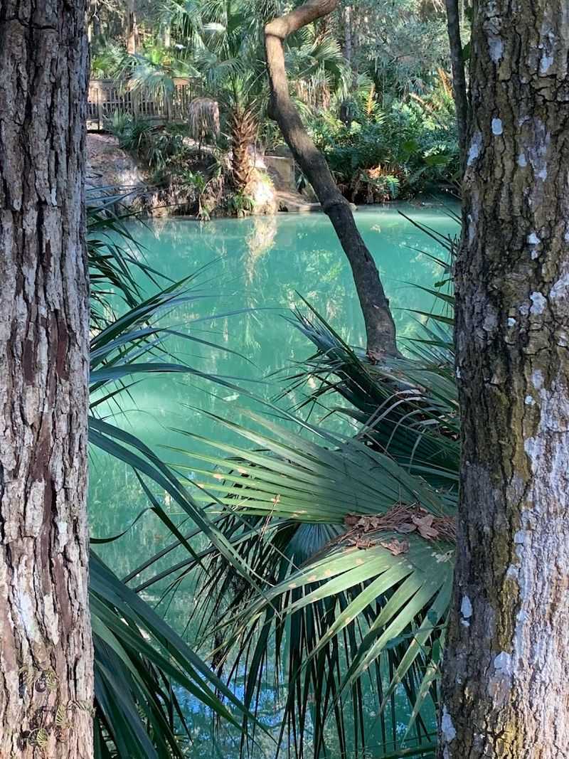 This Hidden Florida Jungle Feels Straight Out of Jurassic Park