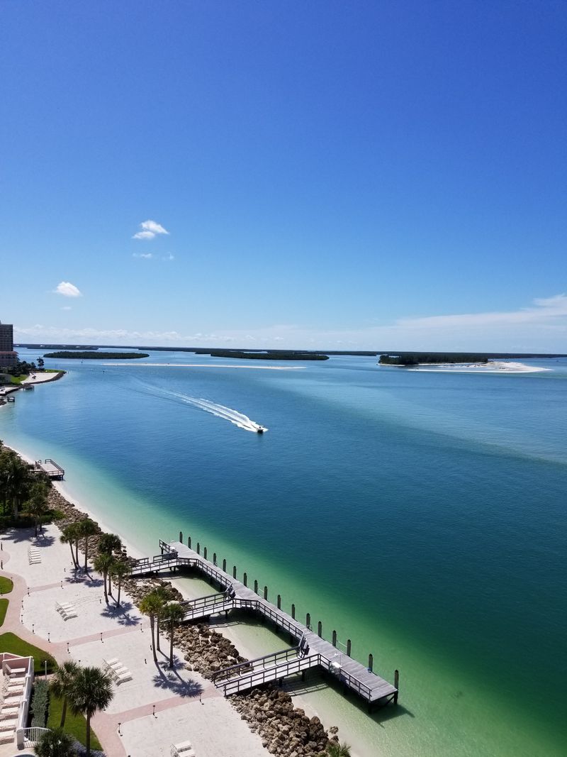 Why Marco Island Is One of Florida’s Most Magical Wildlife Destinations