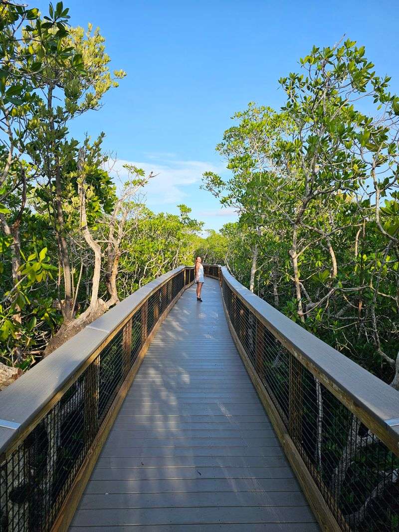 John Pennekamp Coral Reef State Park (Key Largo)