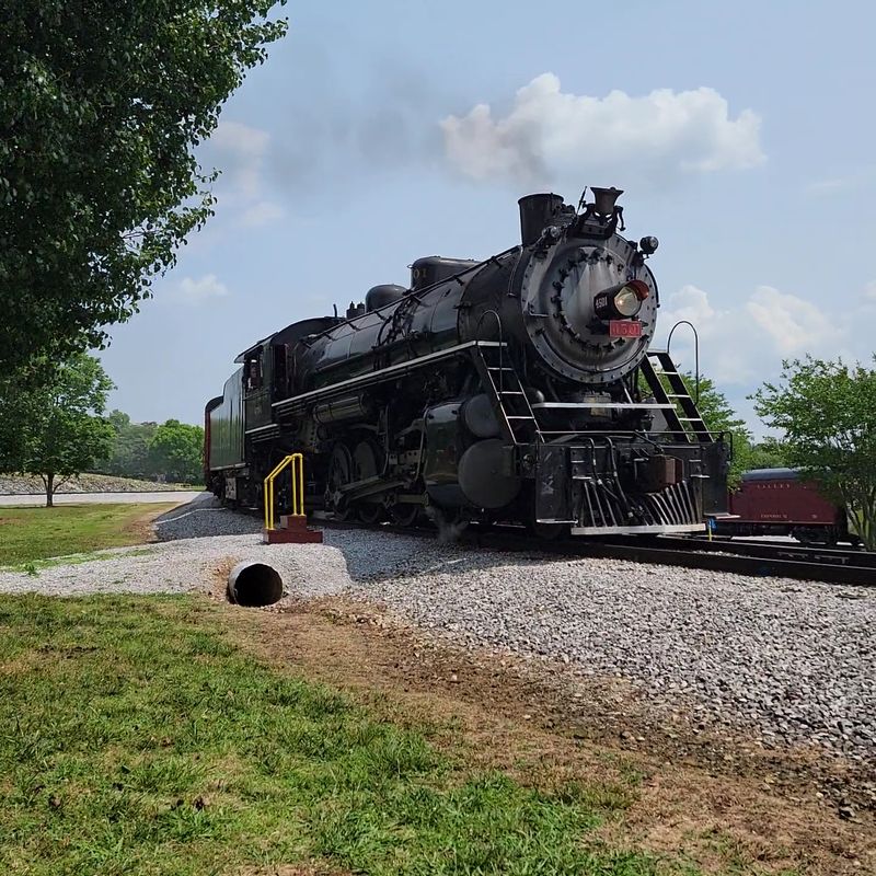 Best Times to Ride and Tips for First-Time Guests