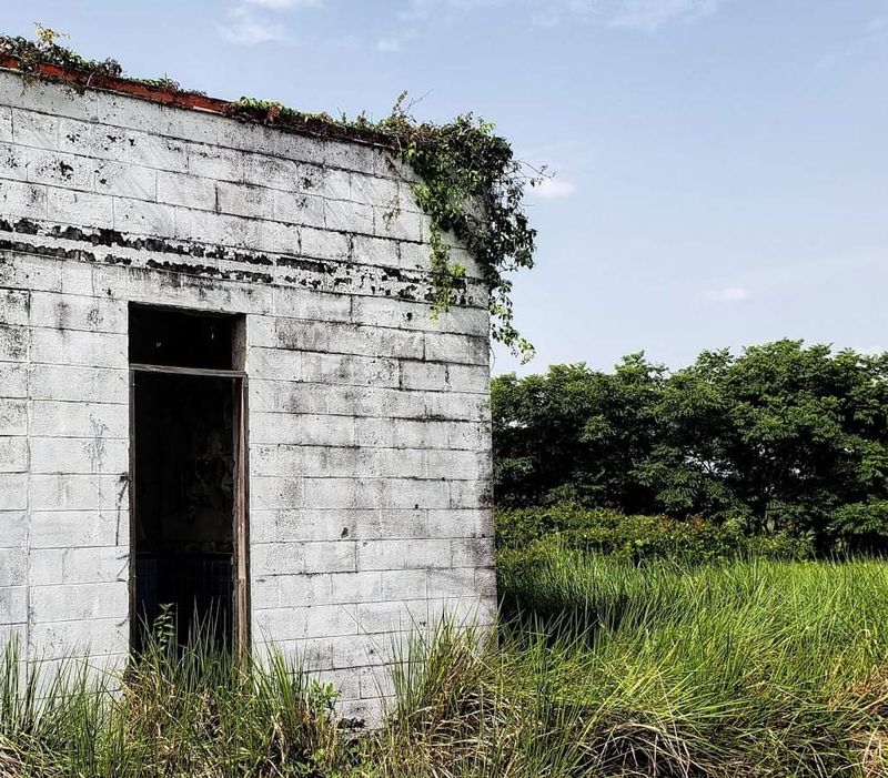 Brewster (Polk County / Bone Valley)