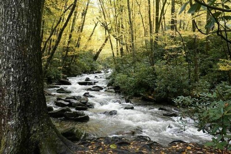 Mount Le Conte (Great Smoky Mountains National Park)
