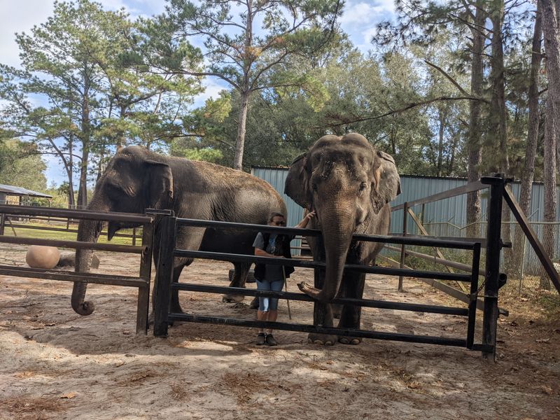 The Signature Educational Tour