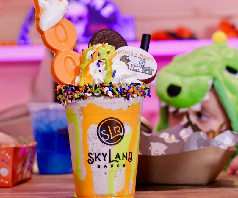 Food, Shopping, and More to Explore