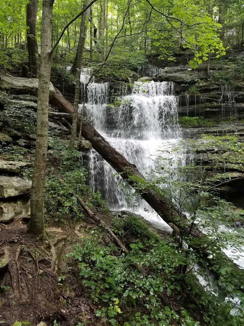 Sewanee Perimeter Trail (Sewanee)