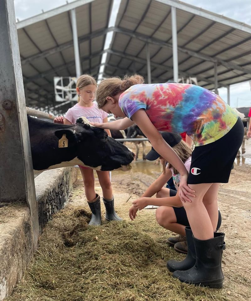 Parties and Groups: Birthdays, Field Trips, Memories