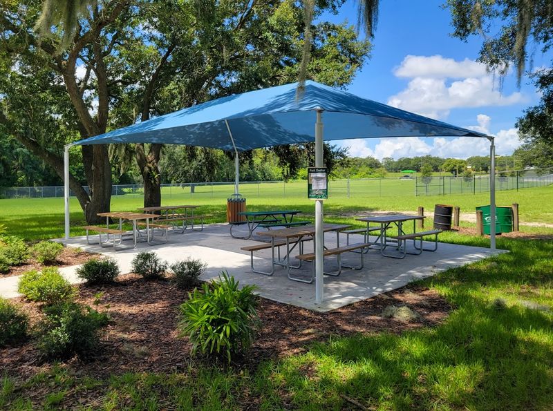 FPV Fun: Dedicated Drone Park