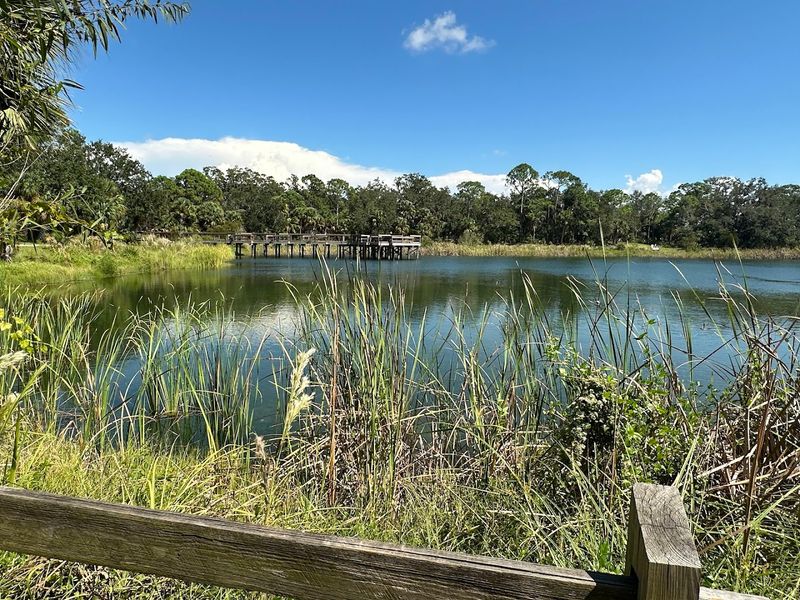 South Creek Paddle Meet-up