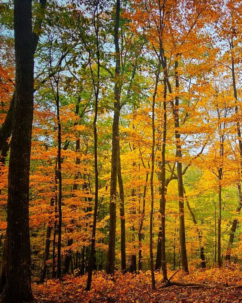 Scott's Gulf Wilderness State Park (2025)