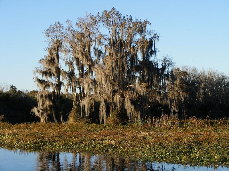 What’s Nearby: Make a Day Trip Around Ocala