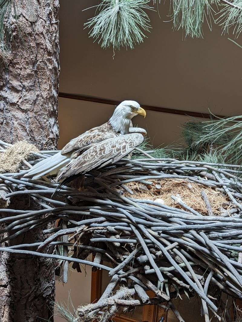 Merritt Island National Wildlife Refuge (Titusville)