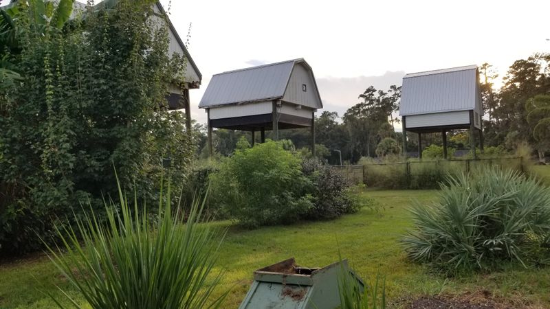 Make It A Mini Outing: What To Bring And Nearby Notes