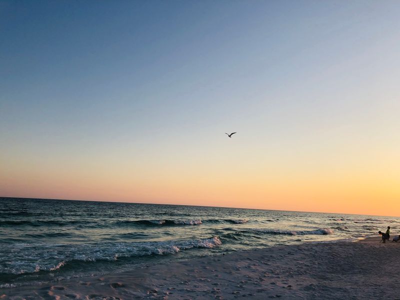 Pensacola Beach (Pensacola)