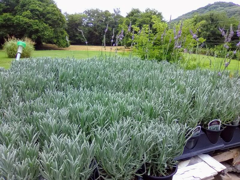 A Perfect Spot for Photos and Slow Moments