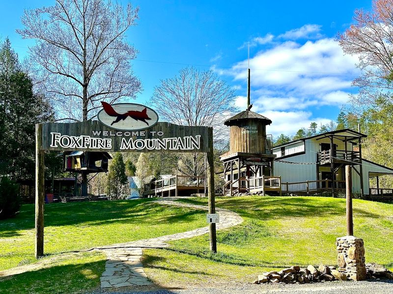 Not Just a Bridge: Zip Lines, Trails, and More