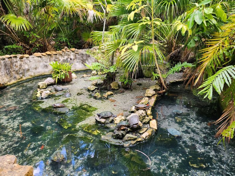 Animal Shows And Keeper Talks