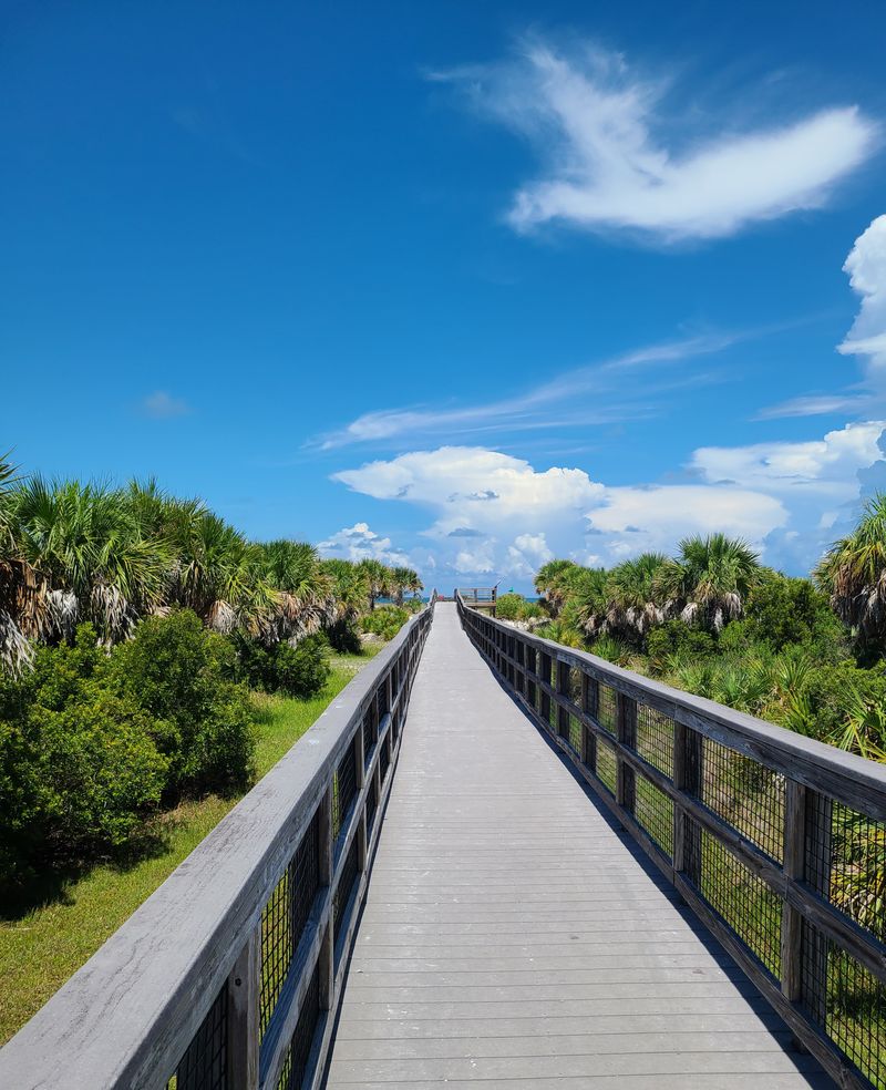 Caladesi Island Beach Trail (Dunedin/Clearwater)