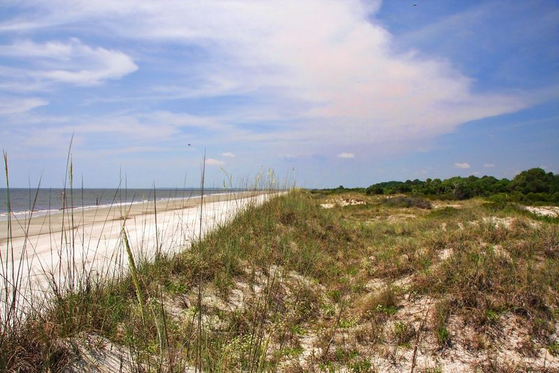 Nanny Goat Beach, Sapelo Island
