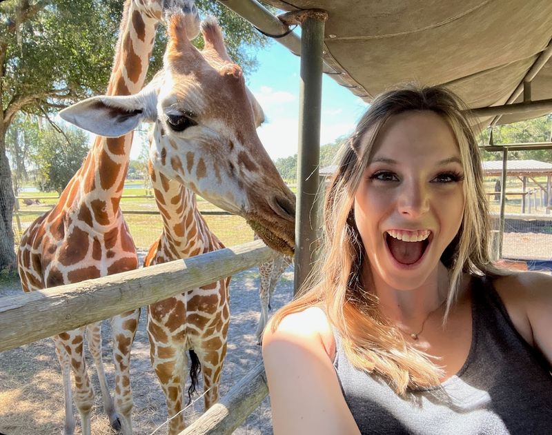 What To Know Before You Go