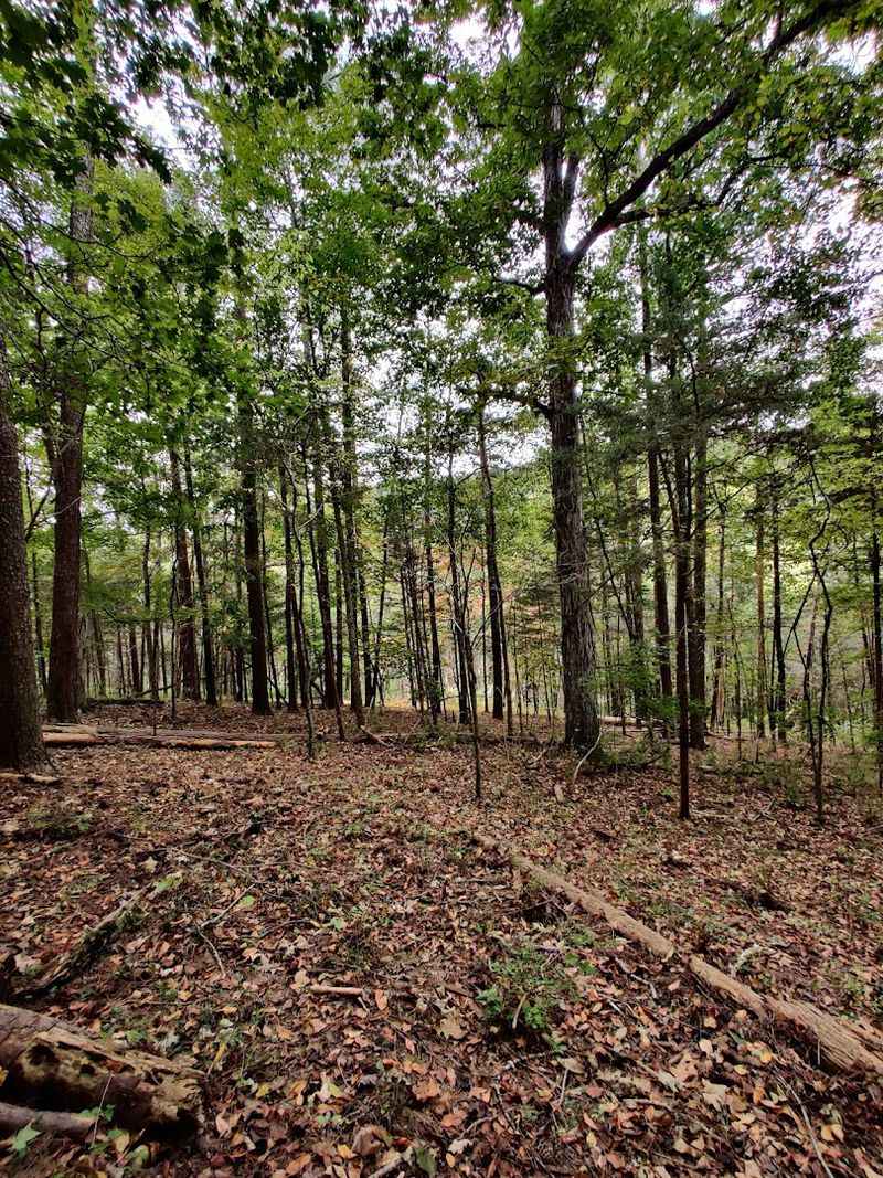 Why Owl's Hill Remains One of Tennessee's Quiet Nature Escapes