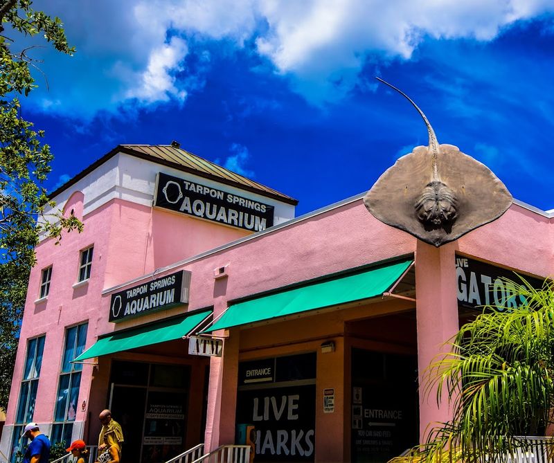 Tarpon Springs Aquarium and Wildlife Encounters