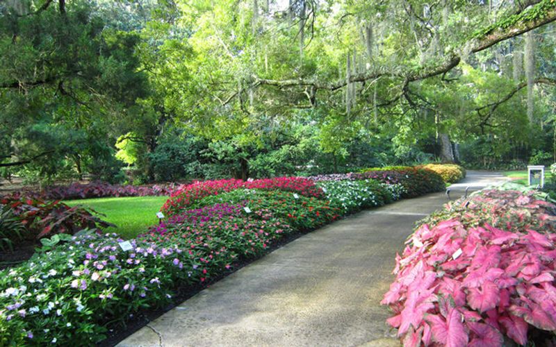 Harry P. Leu Gardens (Orlando)