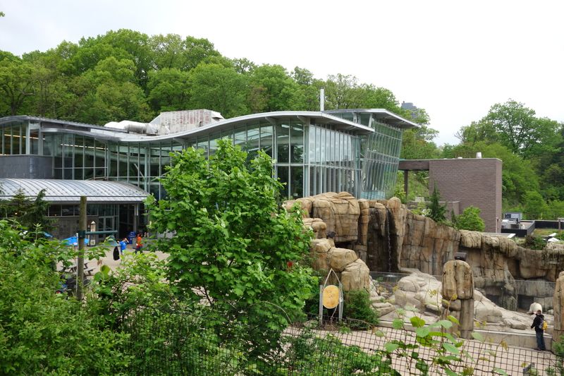 Pittsburgh Zoo - Polar Bear Paradise