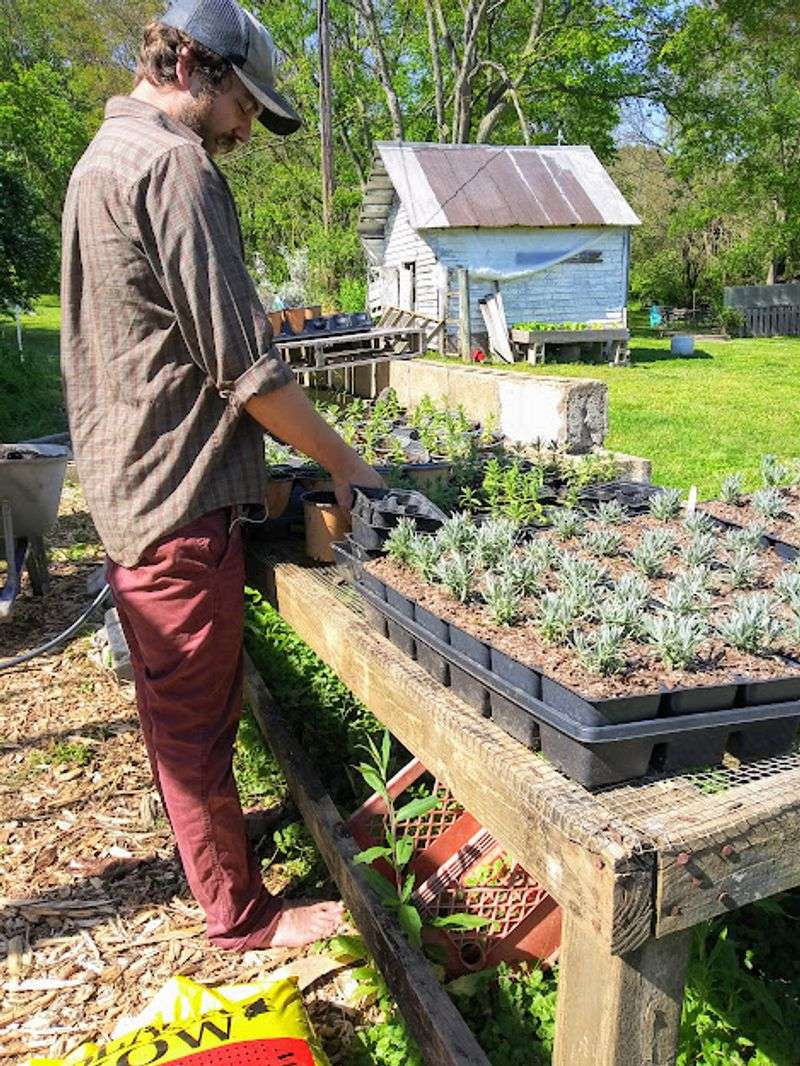 Seasonal Events and Workshops