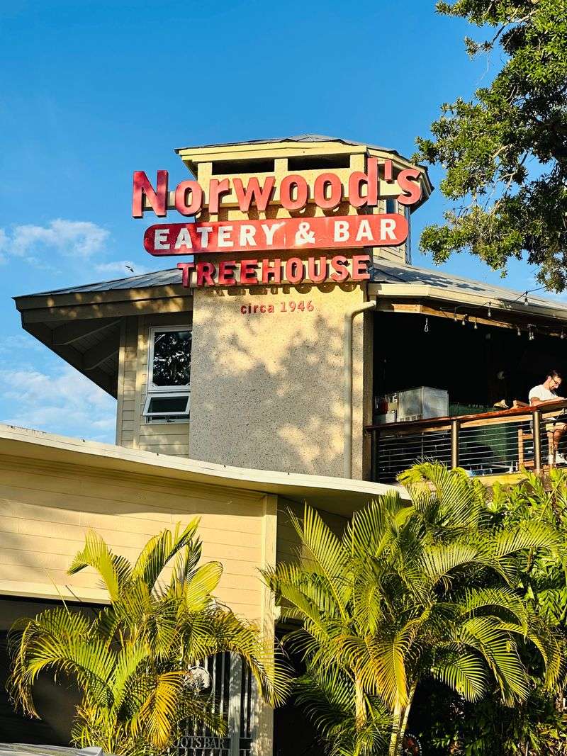 What to Know Before Visiting Norwood's