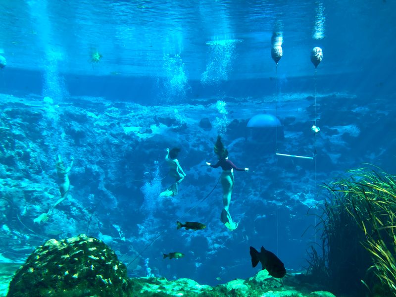 Weeki Wachee Springs Caverns (Weeki Wachee)