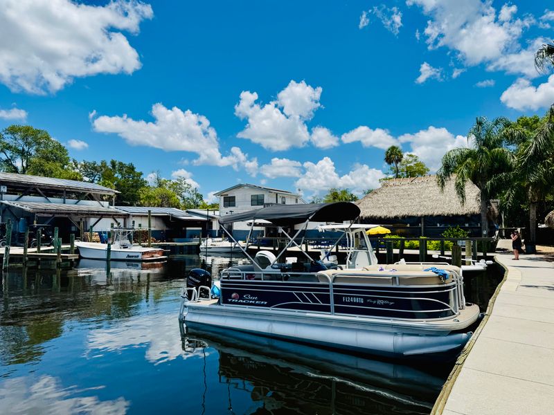 The Freezer Tiki Bar: A Dockside Legend