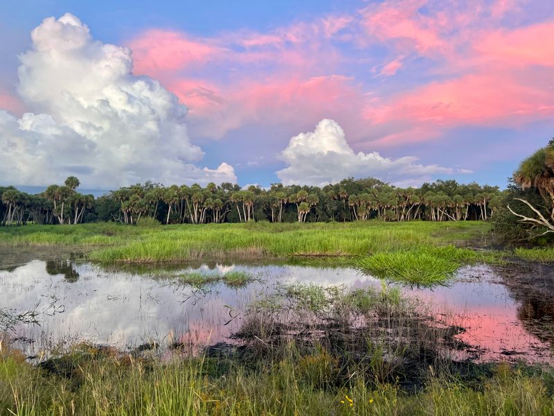 Myakka River State Park (Sarasota)