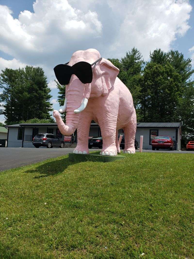 Ellie the Pink Elephant (Cookeville)