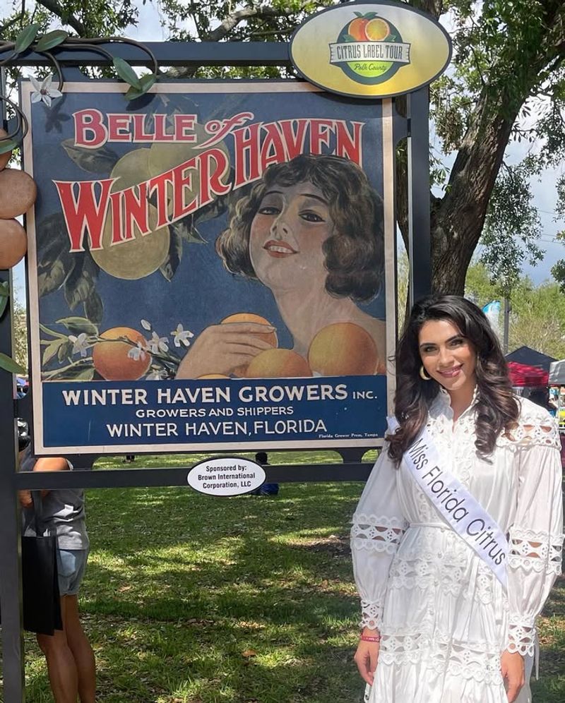 Holiday Citrus Celebrations