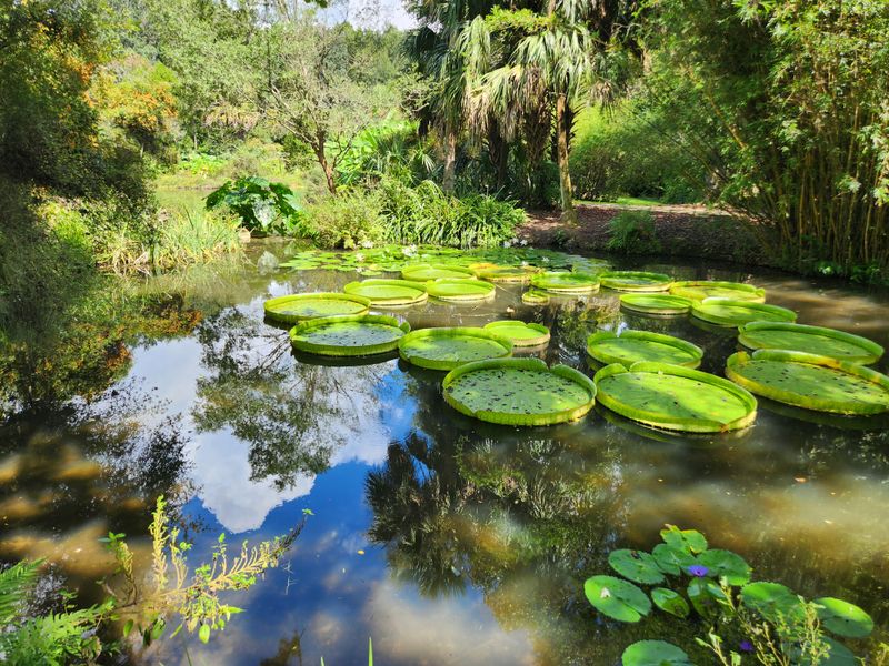 Kanapaha Botanical Gardens (Gainesville)