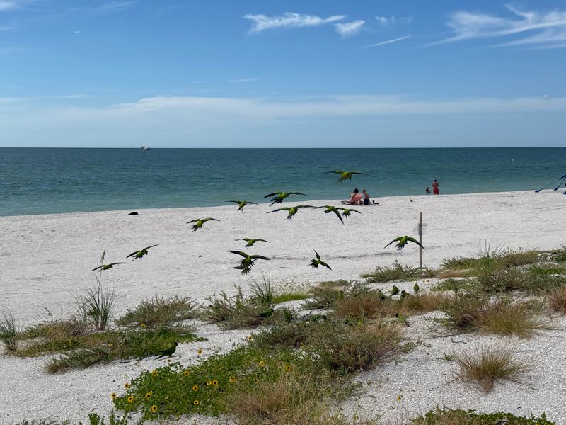 Pass-A-Grille North Beach