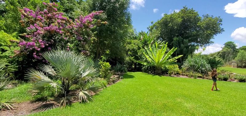 Fairchild Tropical Botanic Garden (Coral Gables/Miami)