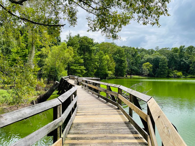 Deep Southern Culture Meets Florida Identity