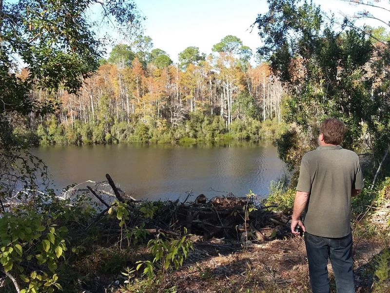Wright Lake Interpretive Loop (Apalachicola National Forest)