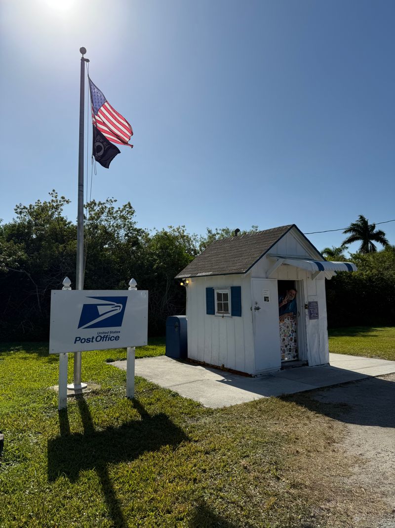 Meeting The Mail Carrier