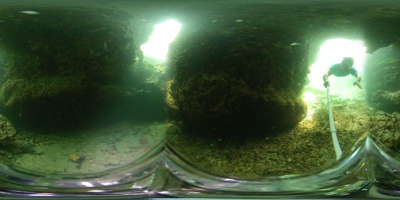 Twin Dees / Telford Springs System (Lafayette County)