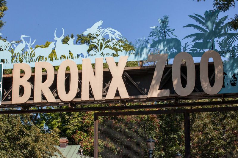 Bronx Zoo - New York's Wildlife Kingdom