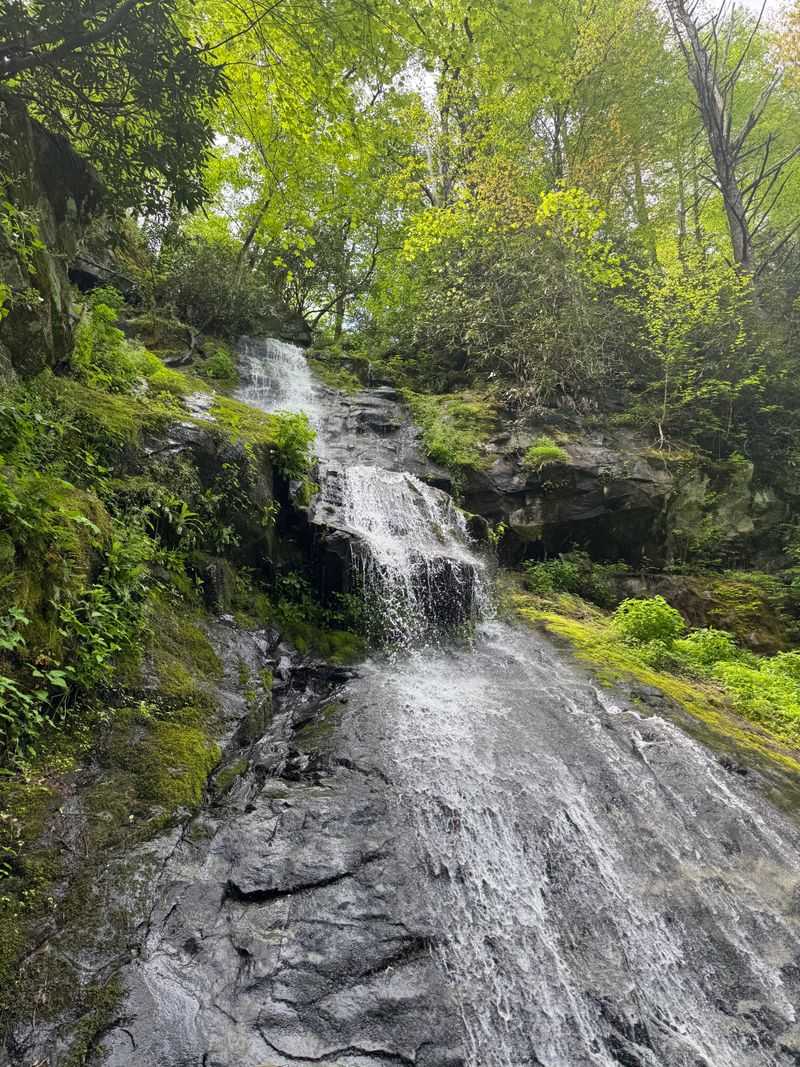 Hen Wallow Falls (Cosby)