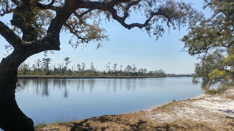 Ochlockonee River State Park