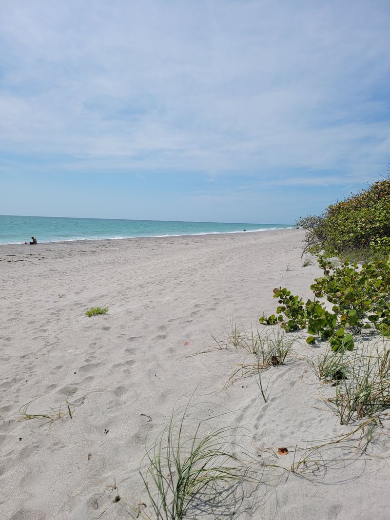 Stump Pass Beach State Park (Englewood)